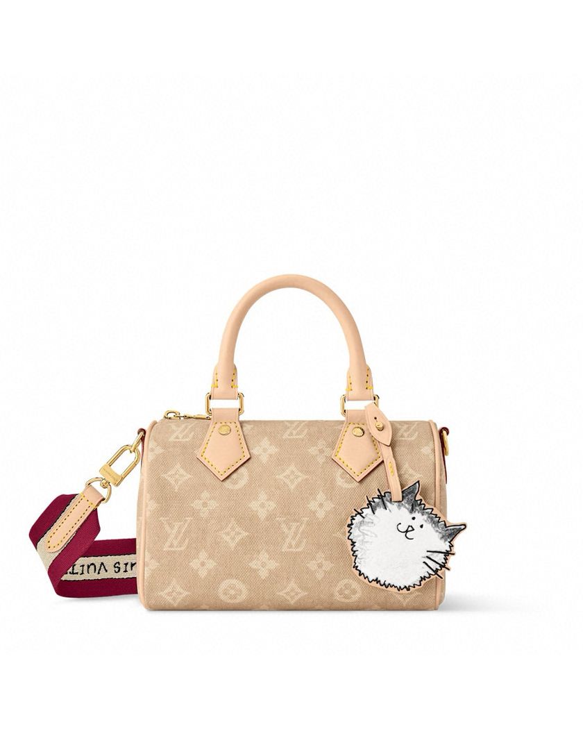 Louis Vuitton speedy 20