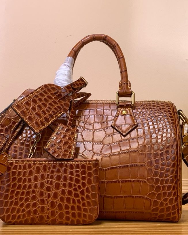 Louis Vuitton speedy 25