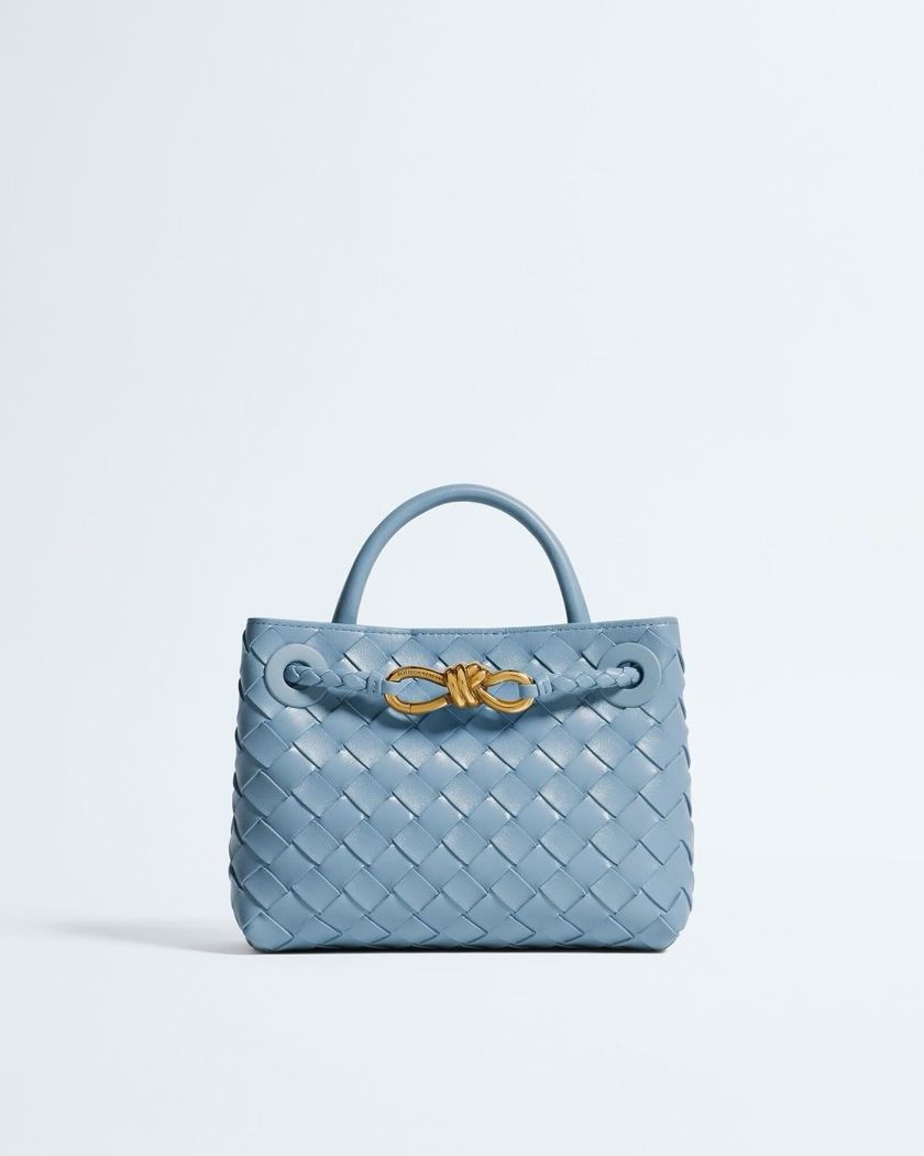 Bottega Veneta Mini Andiamo