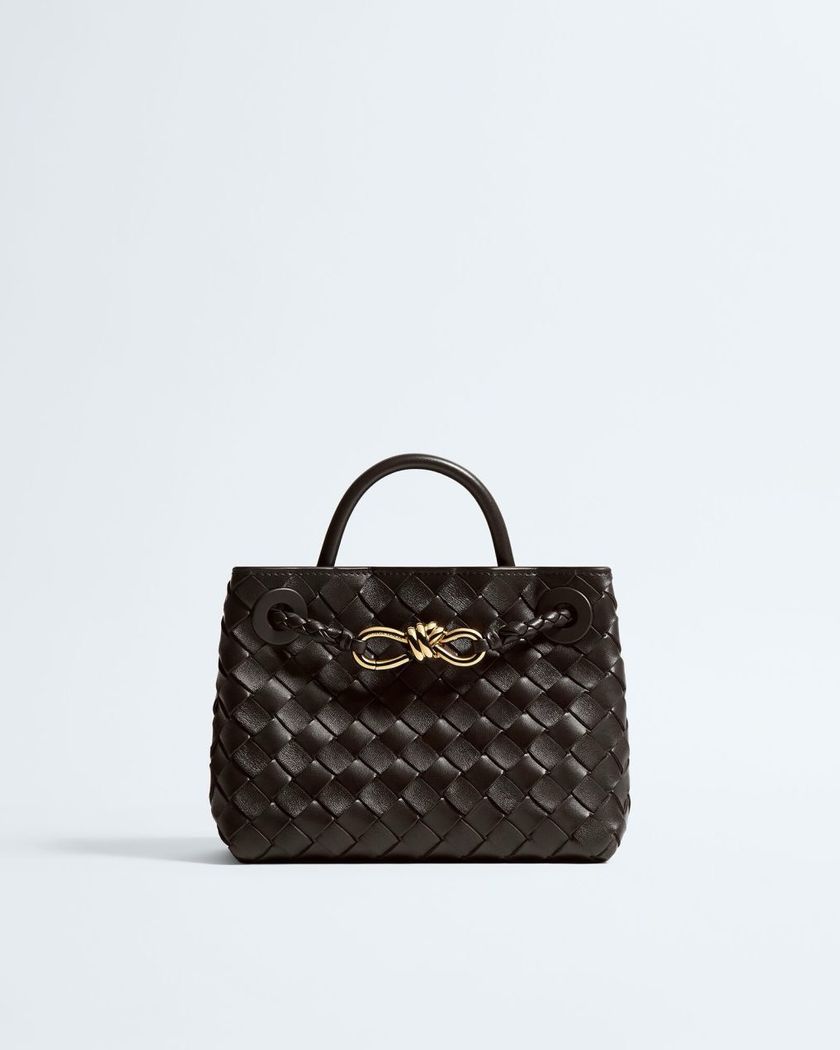 Bottega Veneta Mini Andiamo