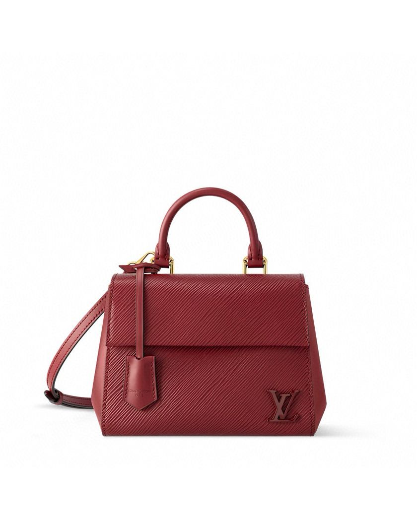 Louis Vuitton Sac Cluny mini